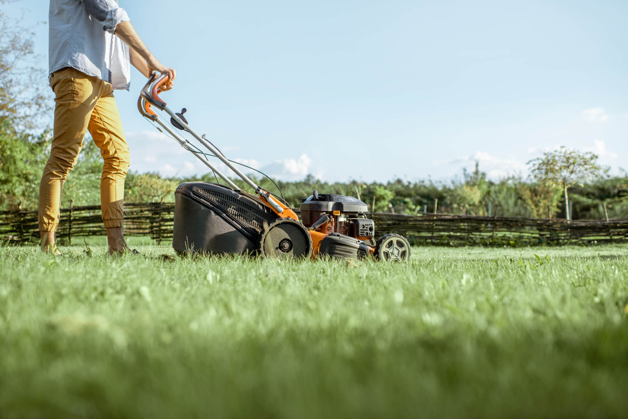 importance of lawn care in outdoor maintenance